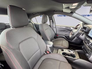 FORD Focus 1.5 ecoblue st-line 115cv auto