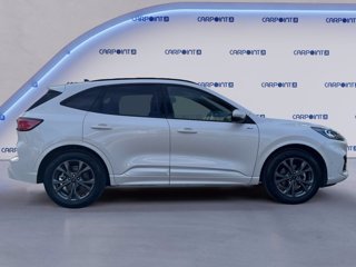 FORD Kuga 2.5 full hybrid st-line x 2wd 190cv cvt