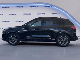 FORD Kuga 2.5 full hybrid st-line x 2wd 190cv cvt