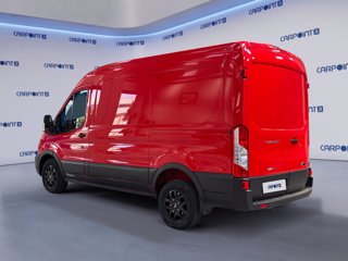 FORD Transit 350 2.0 tdci mhev 130cv trail l2h2 e6.2