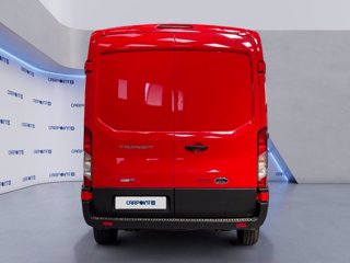 FORD Transit 350 2.0 tdci mhev 130cv trail l2h2 e6.2