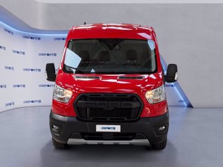 FORD Transit 350 2.0 tdci mhev 130cv trail l2h2 e6.2