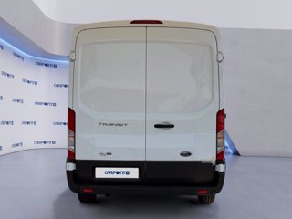 FORD Transit 310 2.0 tdci mhev 130cv trend l2h2 e6.2