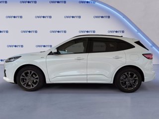 FORD Kuga 1.5 ecoblue st-line x 2wd 120cv auto