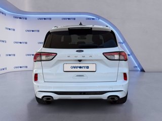 FORD Kuga 1.5 ecoblue st-line x 2wd 120cv auto