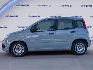 FIAT Panda 1.0 firefly hybrid city life s&s 70cv
