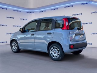 FIAT Panda 1.0 firefly hybrid city life s&s 70cv