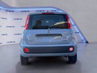 FIAT Panda 1.0 firefly hybrid city life s&s 70cv
