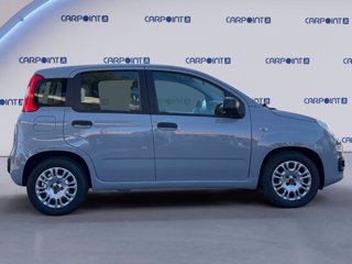 FIAT Panda 1.0 firefly hybrid city life s&s 70cv
