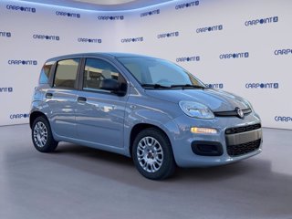 FIAT Panda 1.0 firefly hybrid city life s&s 70cv
