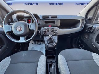FIAT Panda 1.0 firefly hybrid city life s&s 70cv