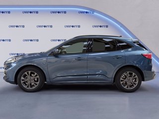 FORD Kuga 2.5 full hybrid st-line x design 2wd 190cv cvt