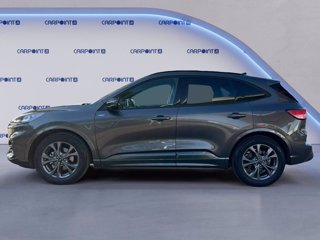FORD Kuga 2.5 full hybrid st-line 2wd 190cv cvt